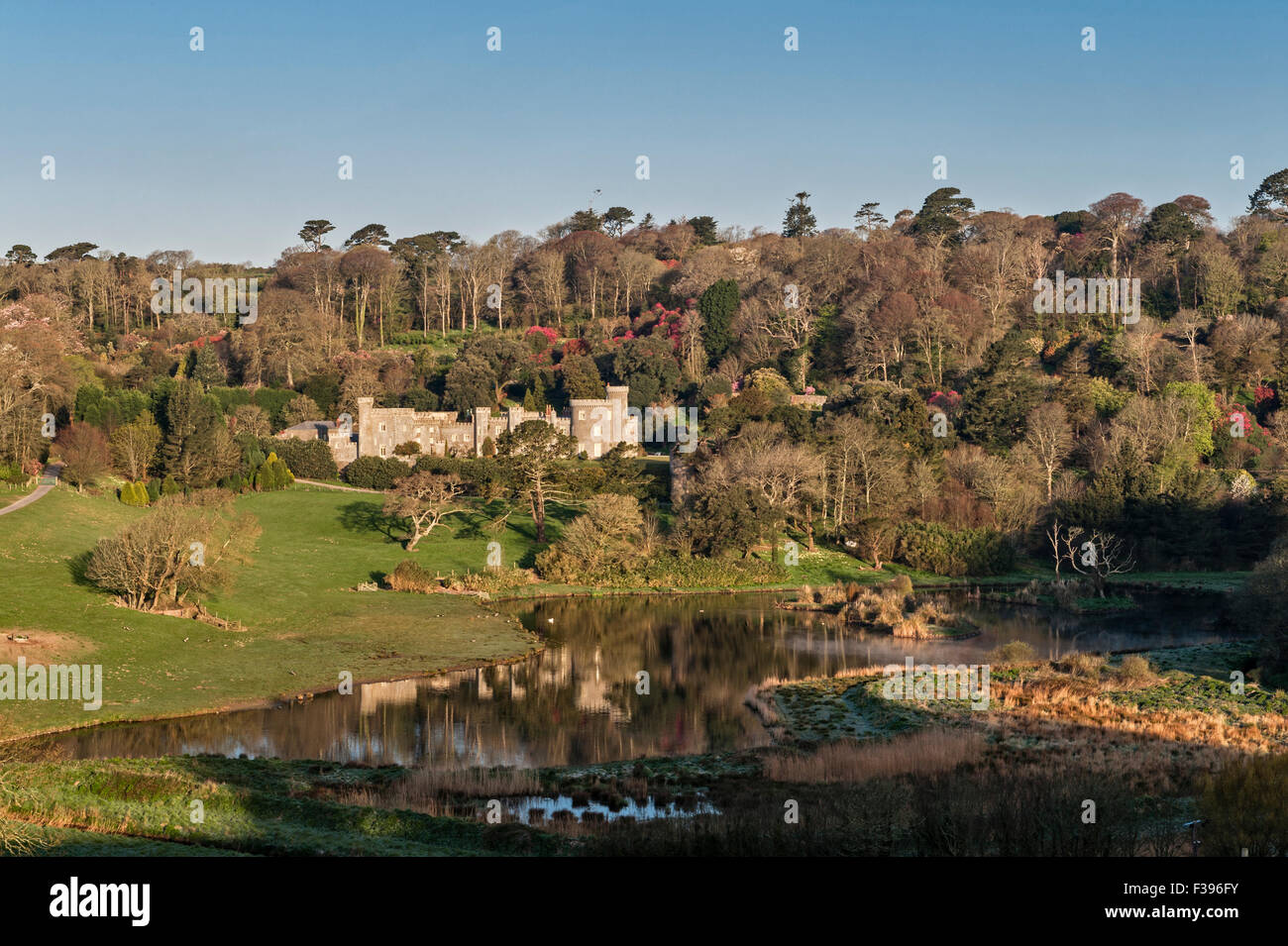 Château de Caerhays, Saint Austell, Cornwall, UK, construit c.1810. Les jardins détiennent la plus grande collection de magnolias en Angleterre Banque D'Images