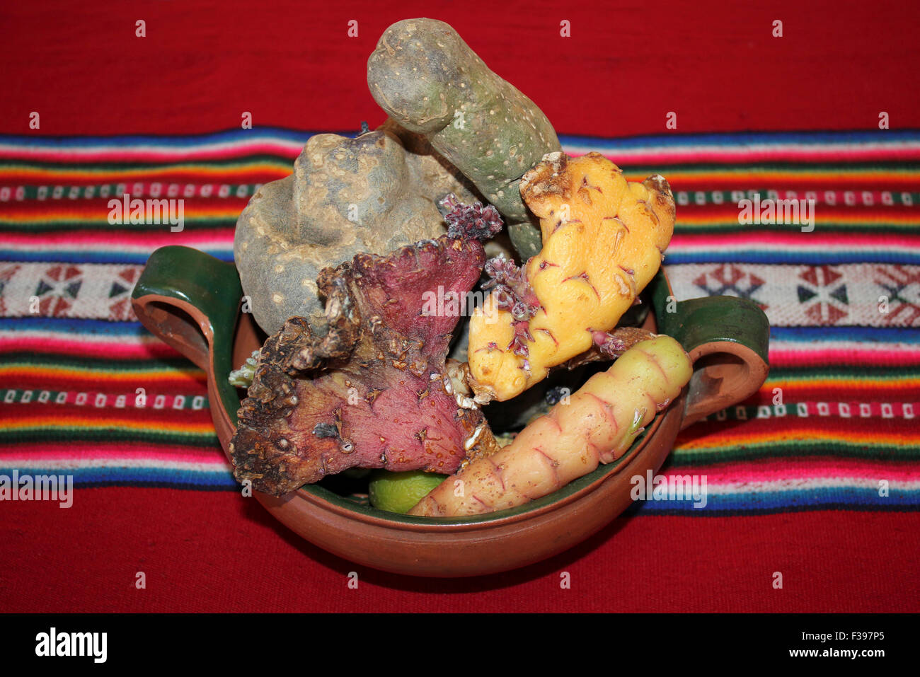 Une sélection de pommes de terre Inca Banque D'Images