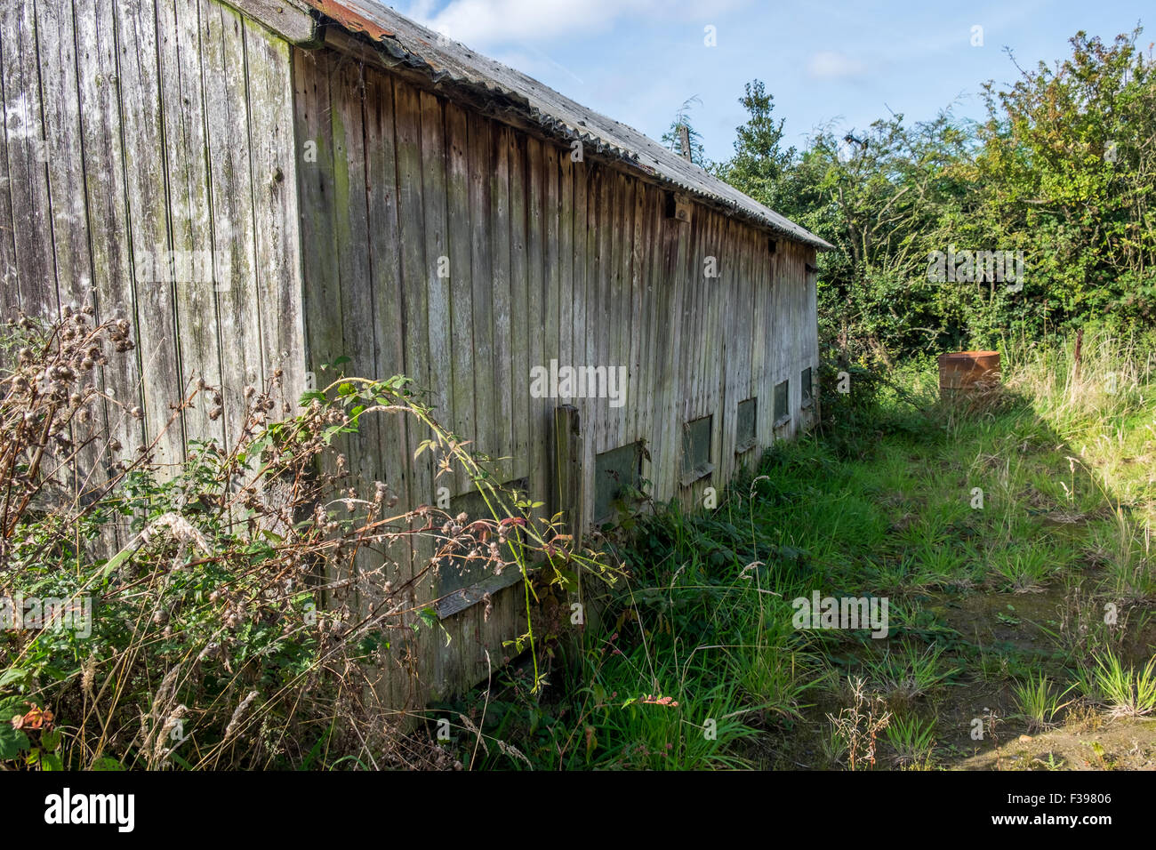 Les vieilles maisons de poulet à un peu délabré et désaffectée. Banque D'Images