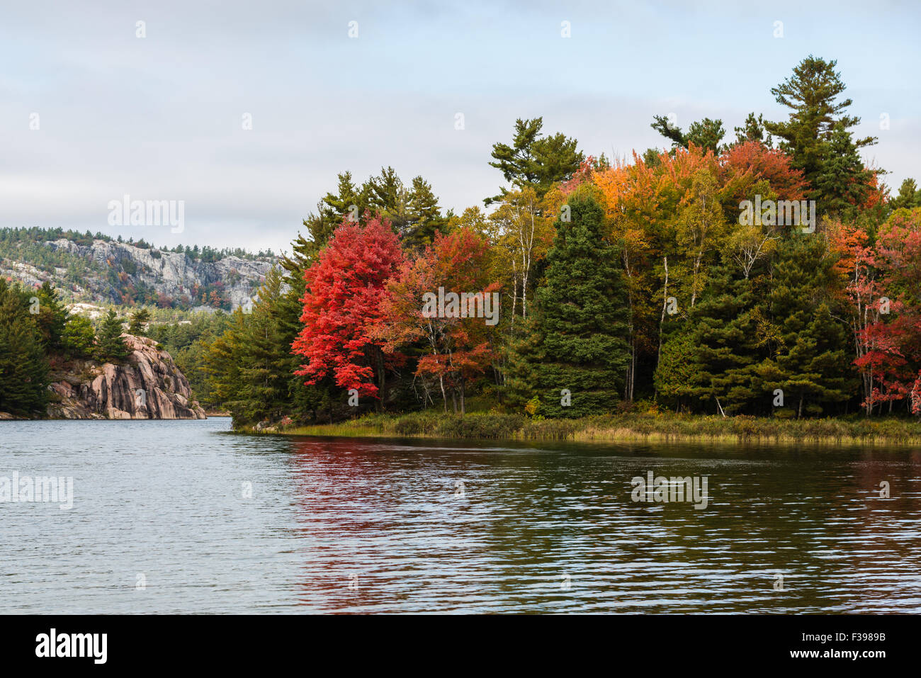 Les arbres d'automne multicolore à un lac à bord du Parc provincial Killarney, Canada Banque D'Images