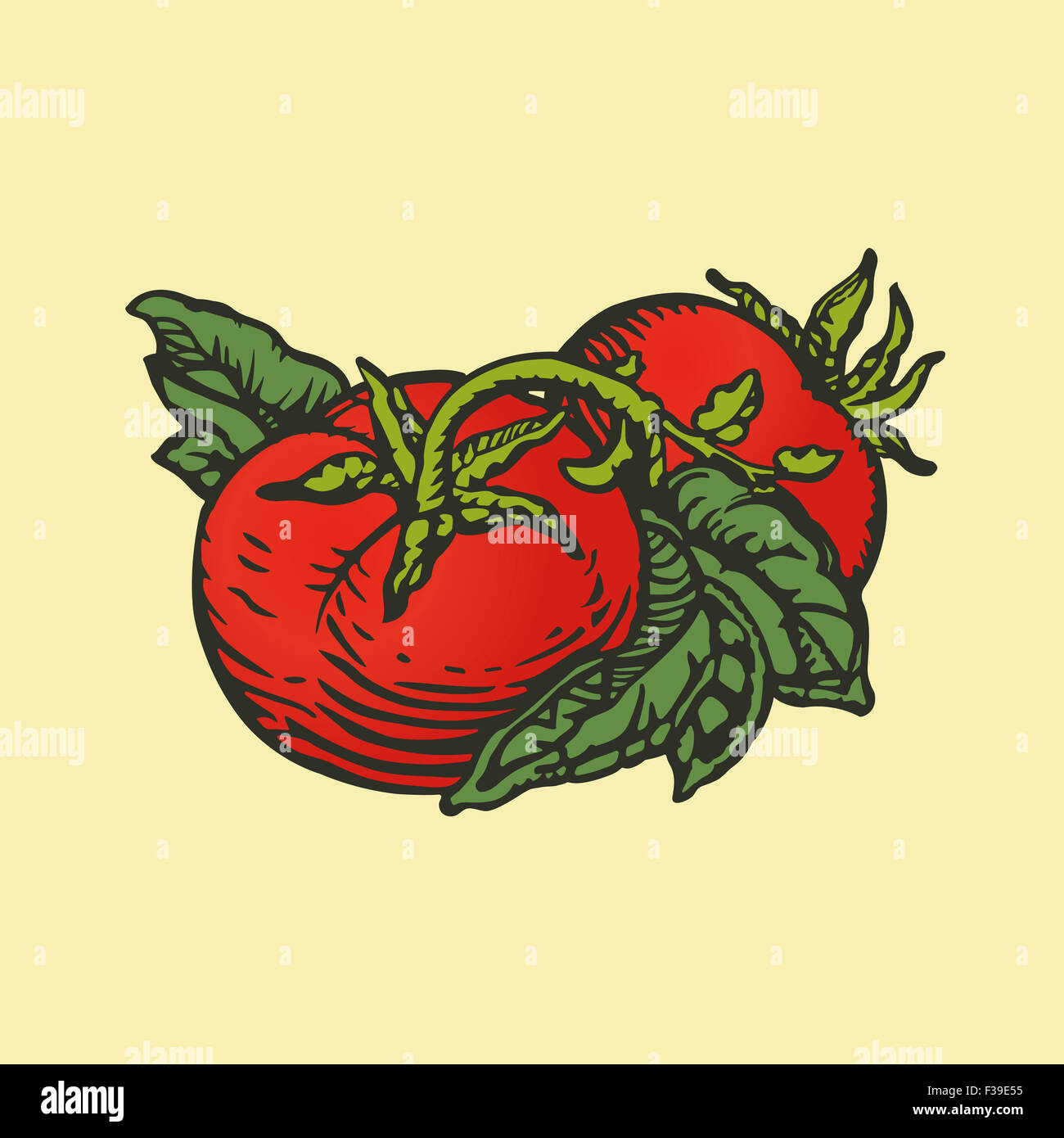 Couple de tomates en gravure sur bois de style d'impression Banque D'Images