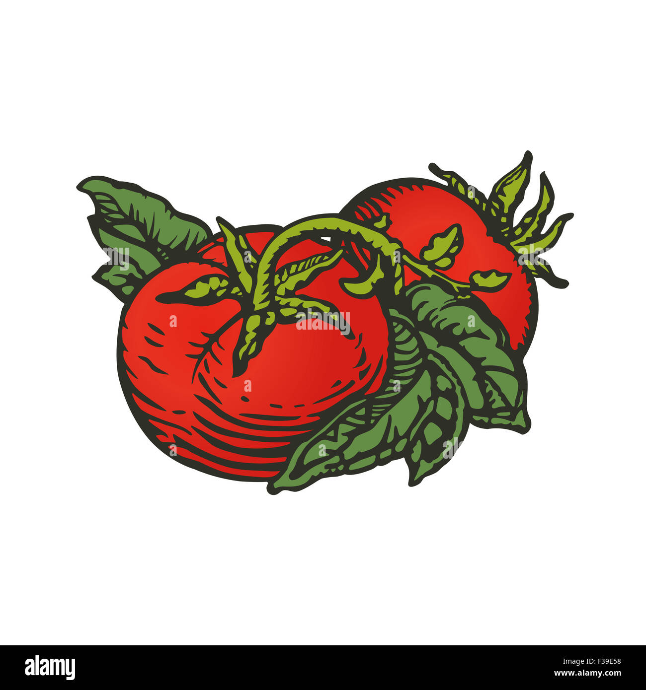 Couple de tomates en gravure sur bois de style d'impression Banque D'Images