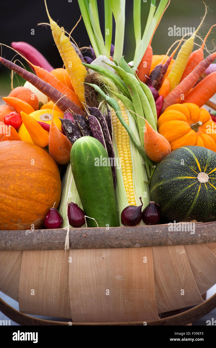 Des trug de légumes sont en démonstration lors d'un spectacle d'automne. ROYAUME-UNI Banque D'Images
