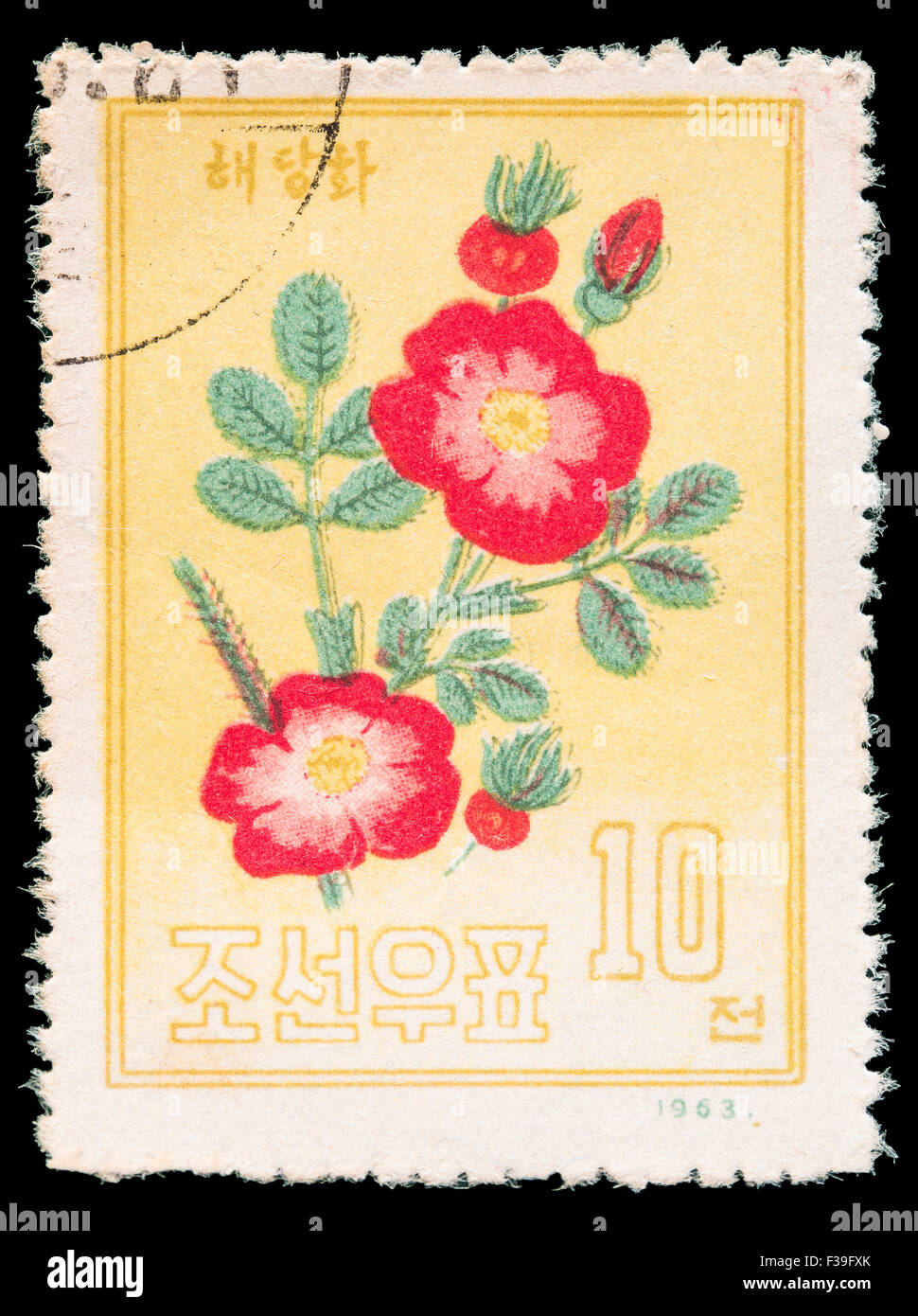 La CORÉE DU NORD - circa 1963 : un timbre-poste imprimé en Corée du Nord montre une pivoine de Chine, Paeonia lactiflora, vers 1963 Banque D'Images