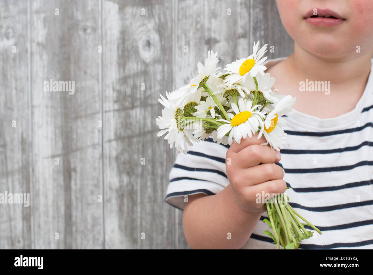 Close-up of a Boy holding bouquet de marguerites Banque D'Images