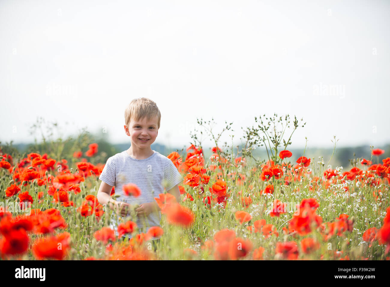 Portrait of a smiling boy standing in champ de coquelicots Banque D'Images