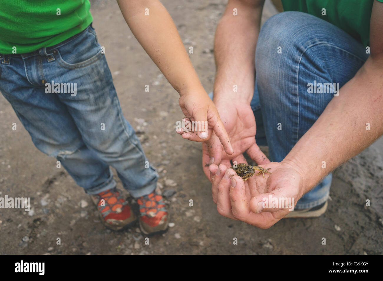 Boy pointing at un escargot dans ses mains du père Banque D'Images