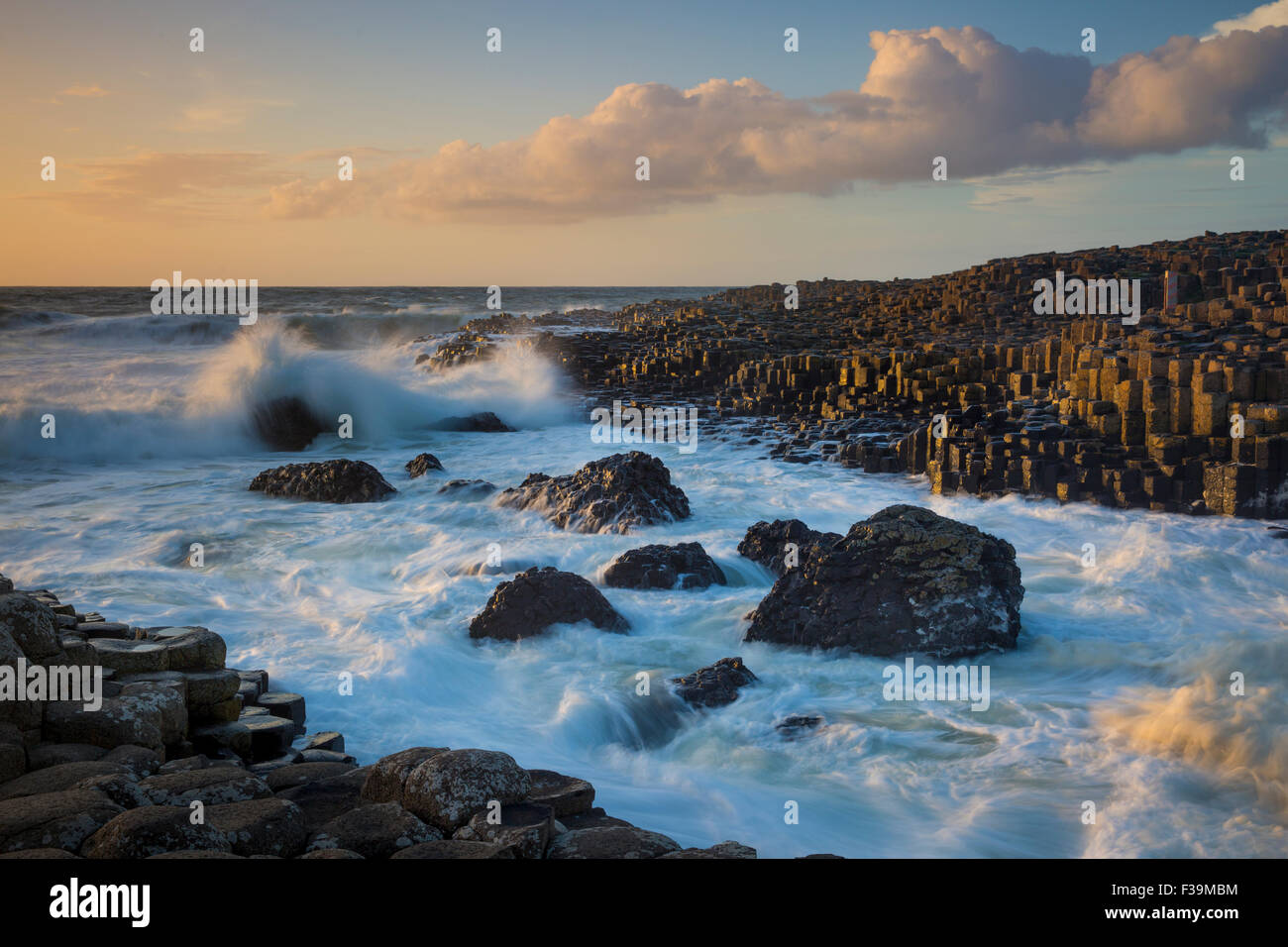 La lumière du soleil du soir sur le Giant's Causeway, comté d'Antrim, en Irlande du Nord Banque D'Images