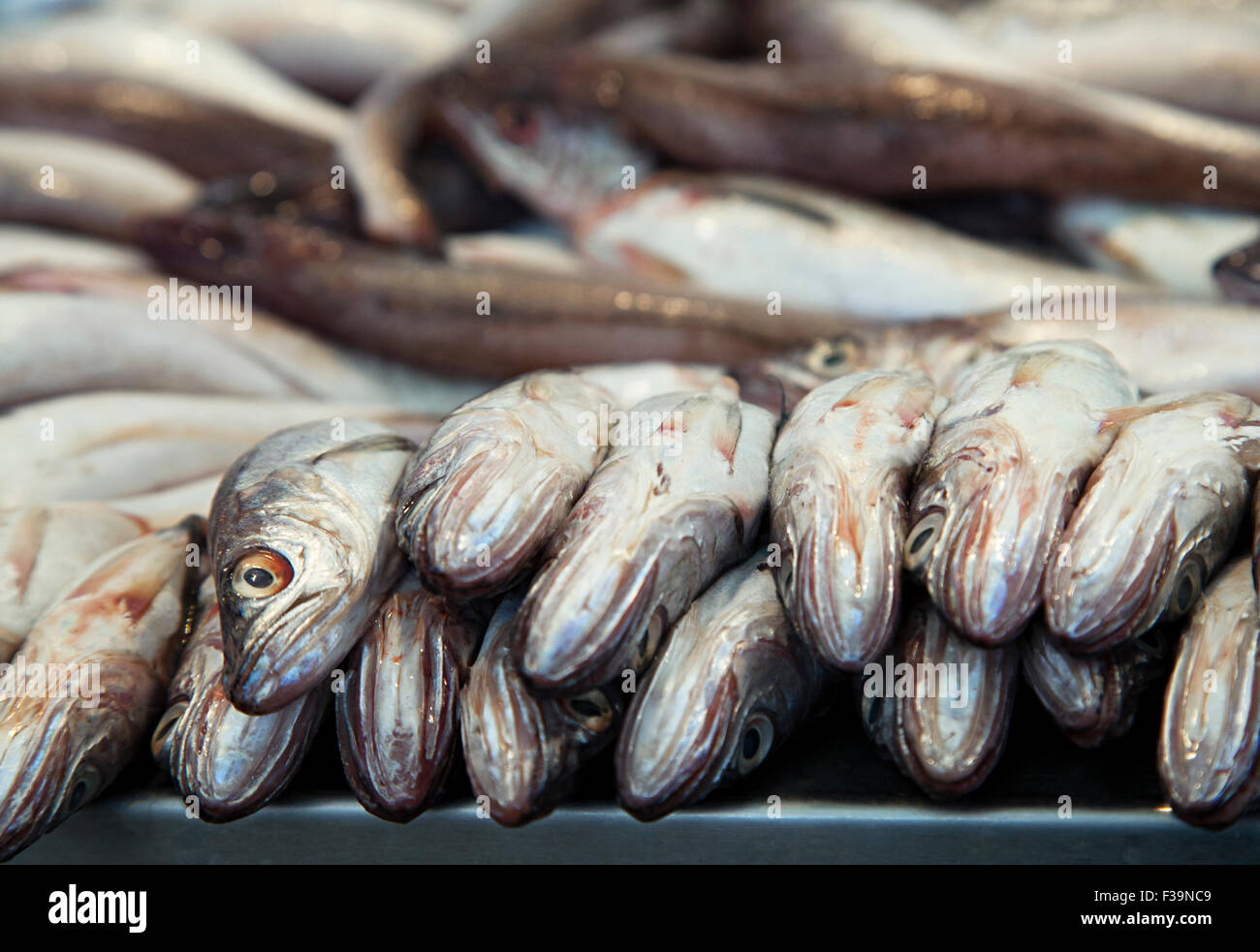 Le poisson frais sur la glace dans un marché de Barcelone Banque D'Images