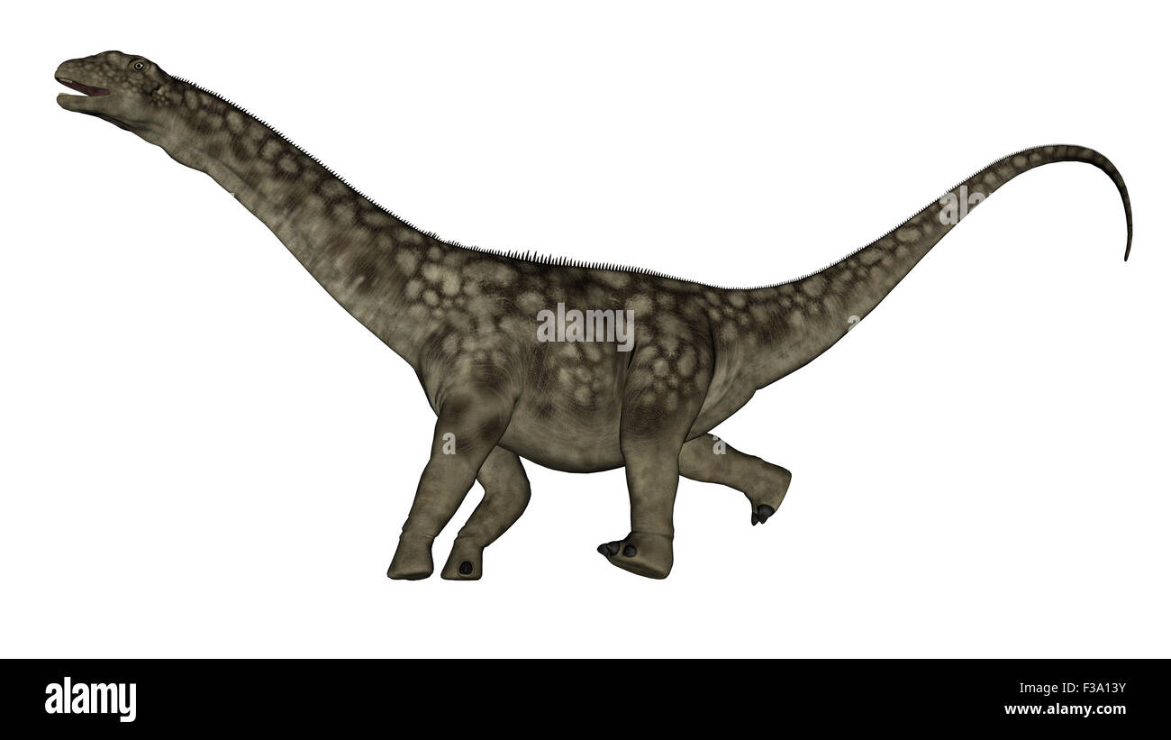 L'Argentinosaurus dinosaure isolé sur fond blanc. Banque D'Images