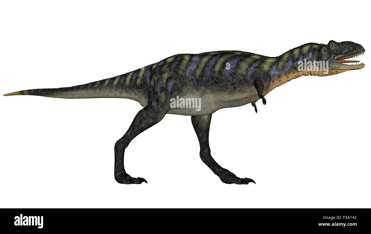 Dinosaure Aucasaurus isolé sur fond blanc. Banque D'Images