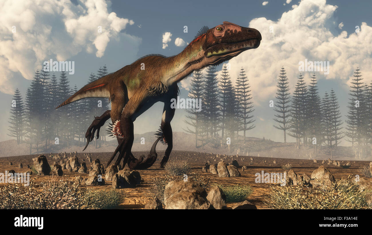 Dinosaures Utahraptor s'exécutant dans le désert avec une calamite forêt en arrière-plan. Banque D'Images
