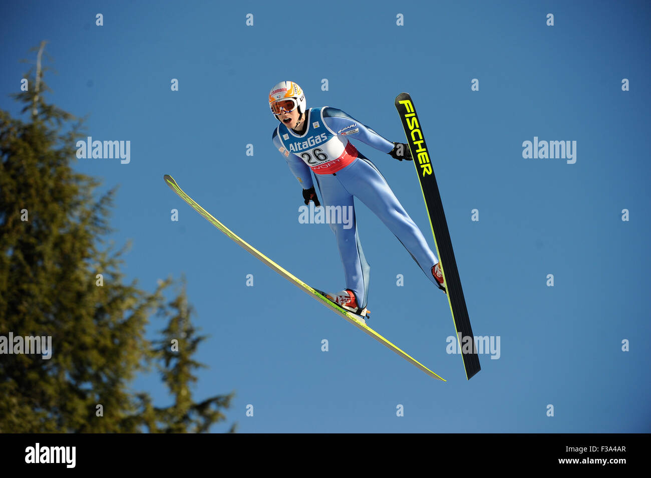 Coupe du monde de combiné nordique, le centre nordique de Whistler, Colombie-Britannique, Canada, le 17 janvier 2009 - Mens Saut à Ski : François Banque D'Images