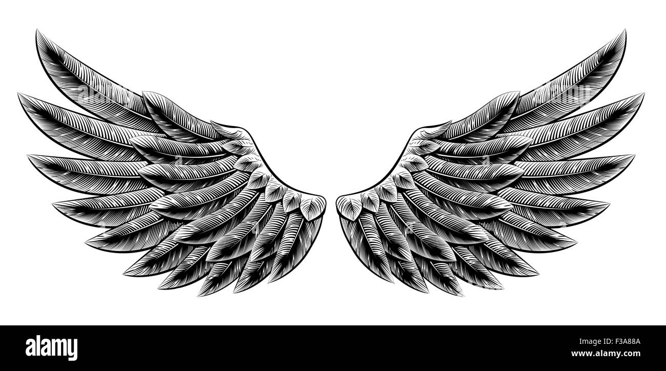 Illustration originale de style vintage gravure sur bois d'oiseaux aigle ou d'ailes d'ange Banque D'Images Illustration originale de style vintage gravure sur bois d'oiseaux aigle ou d'ailes d'ange Banque D'Images