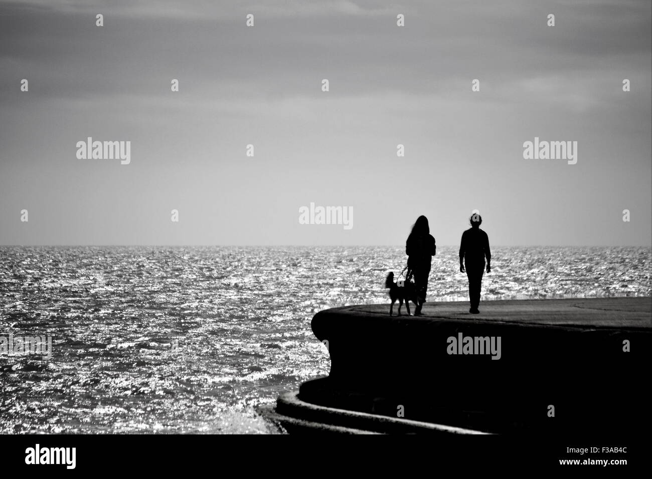 Les marcheurs et chien en promenade côtière Banque D'Images