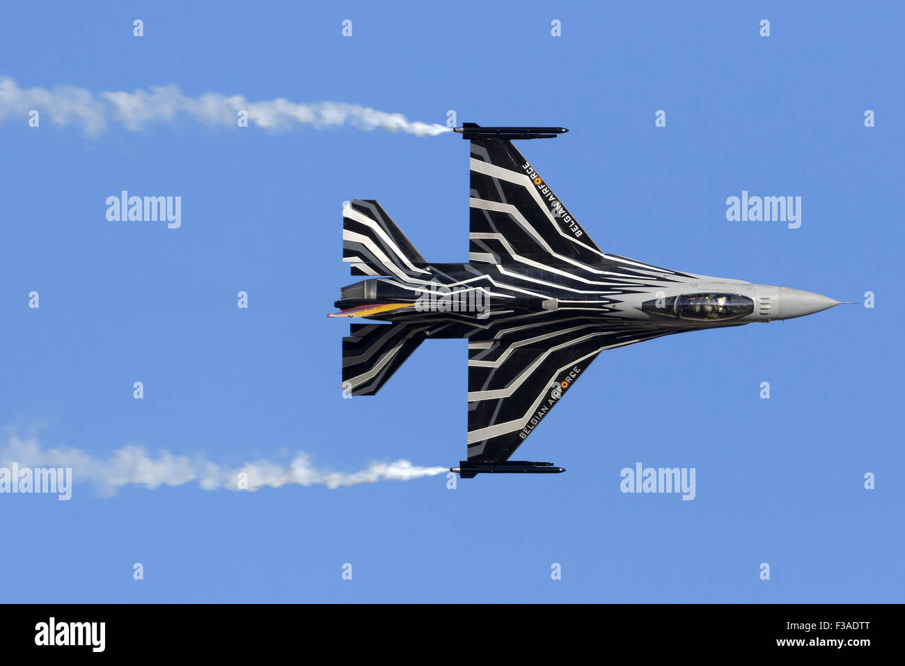 La force aérienne belge General Dynamics F-16AM Fighting Falcon est spécial couleurs d'affichage de la mesure du spectacle. Banque D'Images