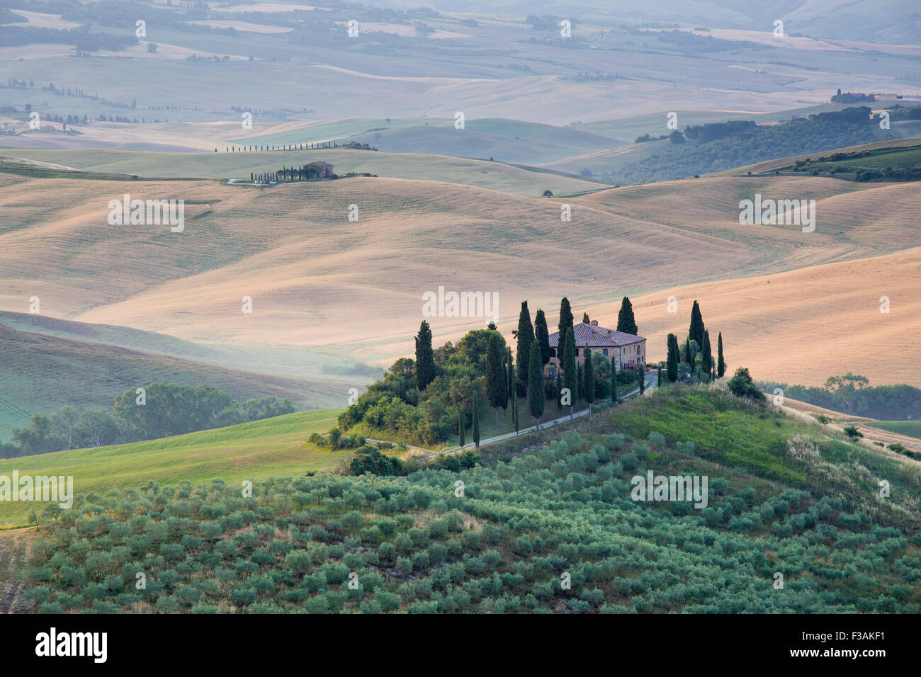 La toscane, ferme isolée dans le pays d'or et verts collines du Val d'Orcia, tôt le matin. Paysage italien. Banque D'Images