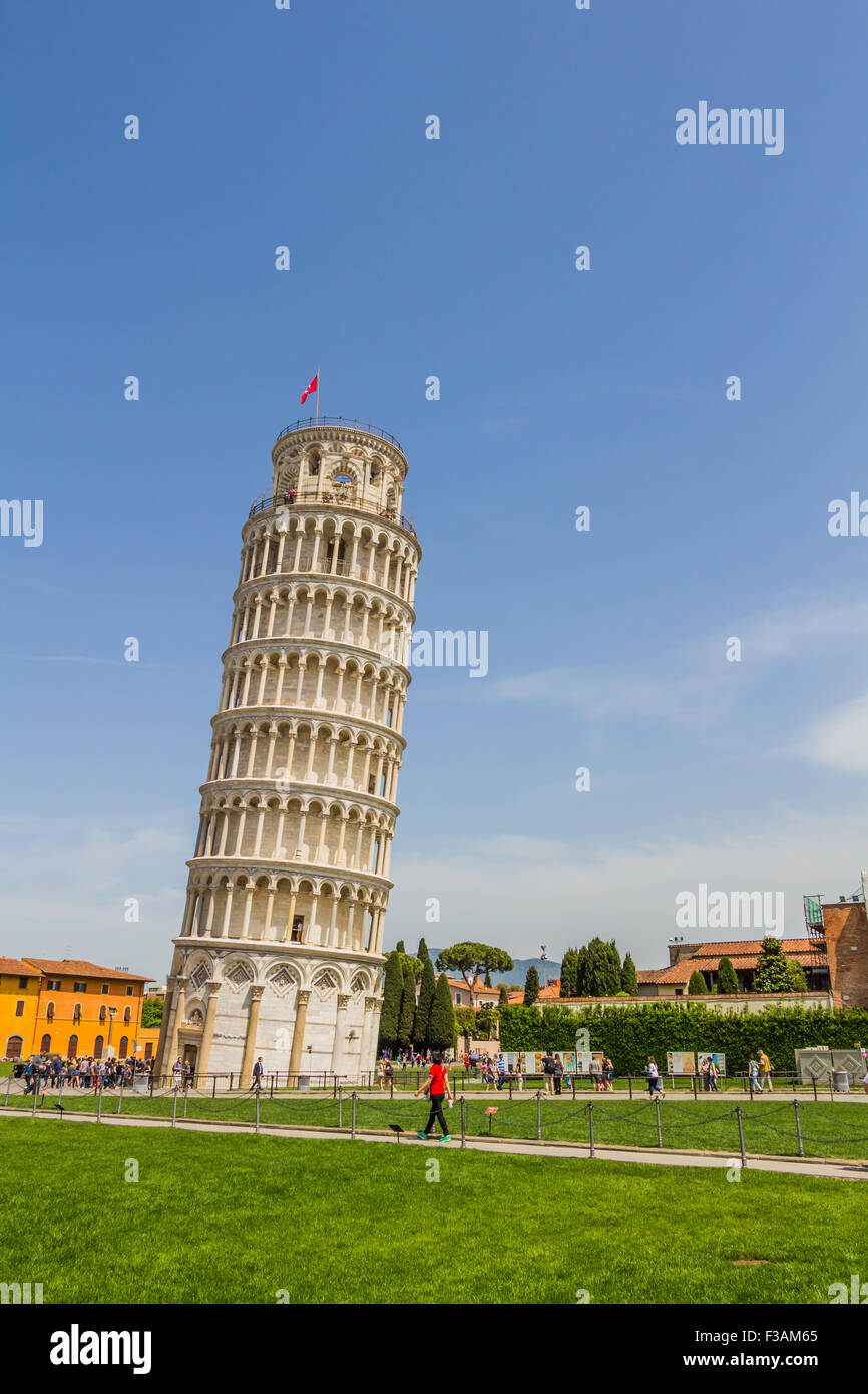 Tour de Pise et la cathédrale de Pise, Italie Banque D'Images