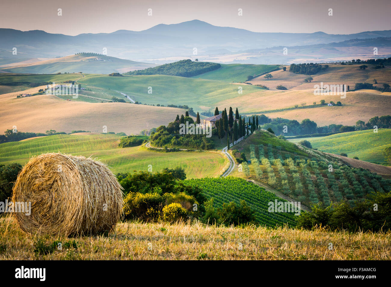La toscane, ferme isolée dans le pays d'or et verts collines du Val d'Orcia, tôt le matin. Paysage italien. Banque D'Images