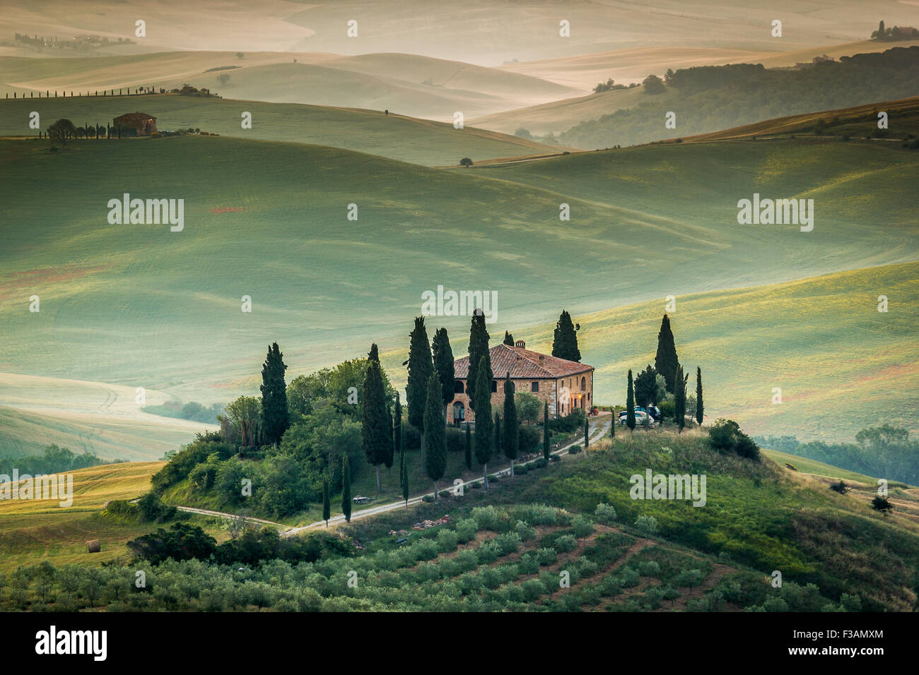 Toscane, Val d'Orcia, magnifique paysage de collines, de cyprès et d'oliviers, de l'Italie. Ferme isolée dans la campagne Banque D'Images