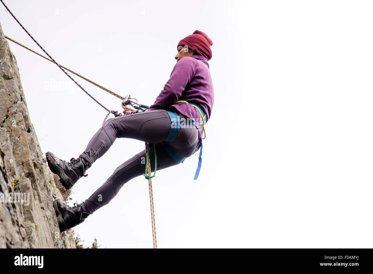 Female rock climber abseiling avec corde de sécurité et harnais d'escalade sur un rocher. Le Nord du Pays de Galles, Royaume-Uni, Angleterre Banque D'Images