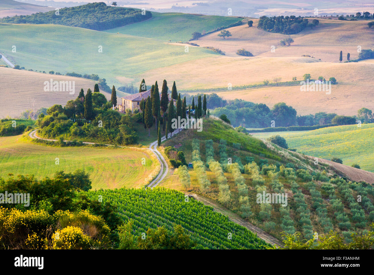 La toscane, ferme isolée dans le pays d'or et verts collines du Val d'Orcia, tôt le matin. Paysage italien. Banque D'Images