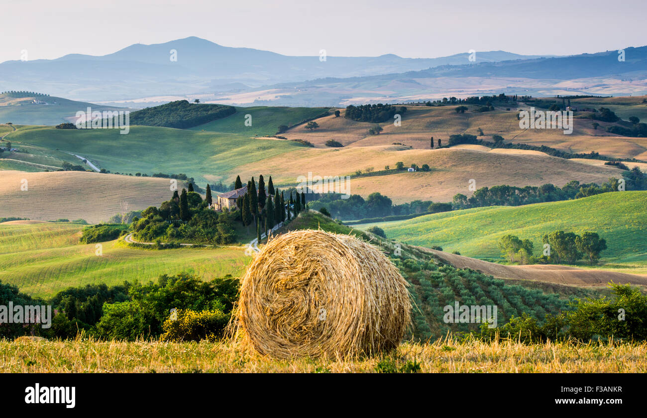 La toscane, ferme isolée dans le pays d'or et verts collines du Val d'Orcia, tôt le matin. Paysage italien. Banque D'Images