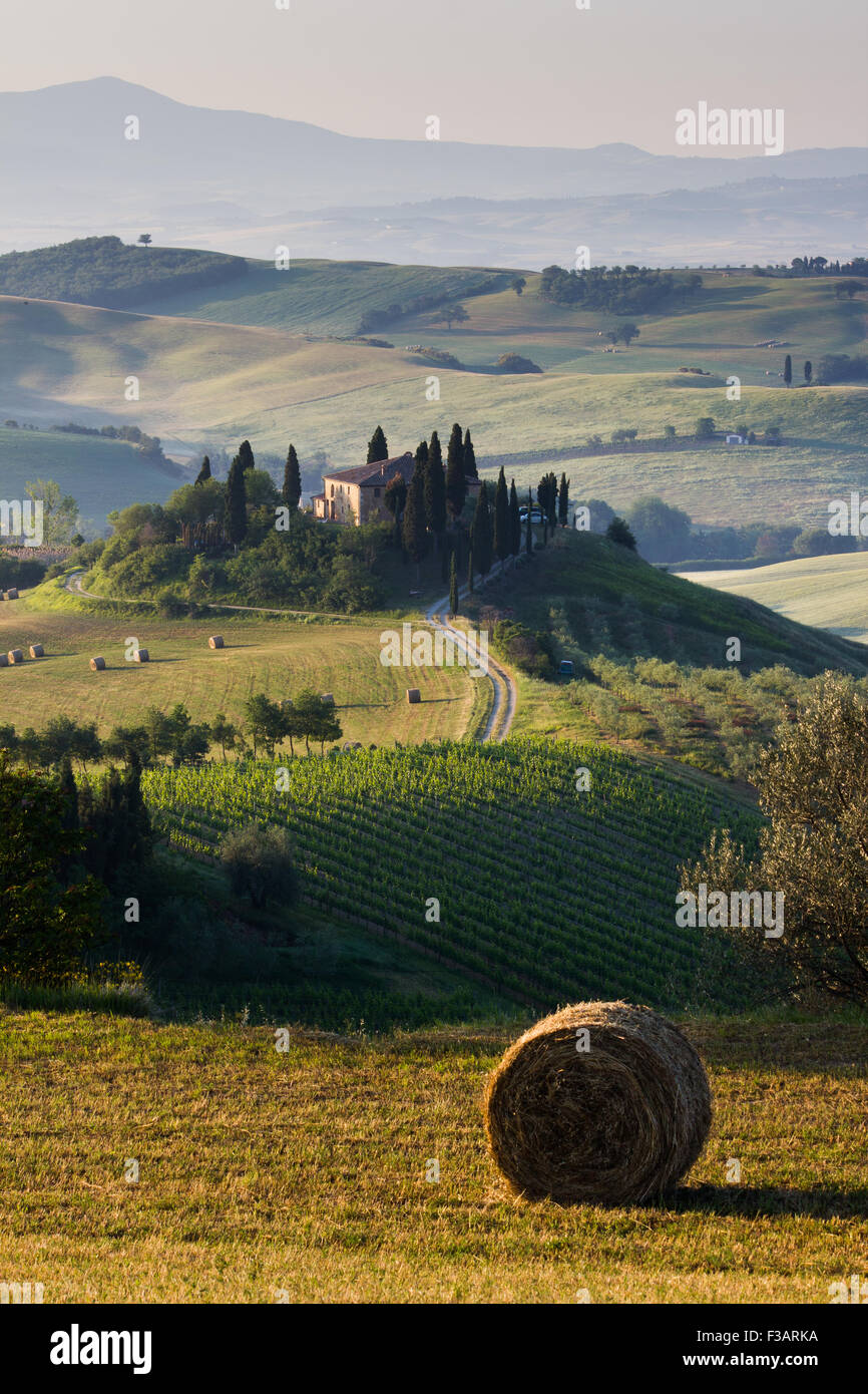 Toscane, Val d'Orcia, magnifique paysage de collines, de cyprès et d'oliviers, de l'Italie. Ferme isolée dans la campagne Banque D'Images