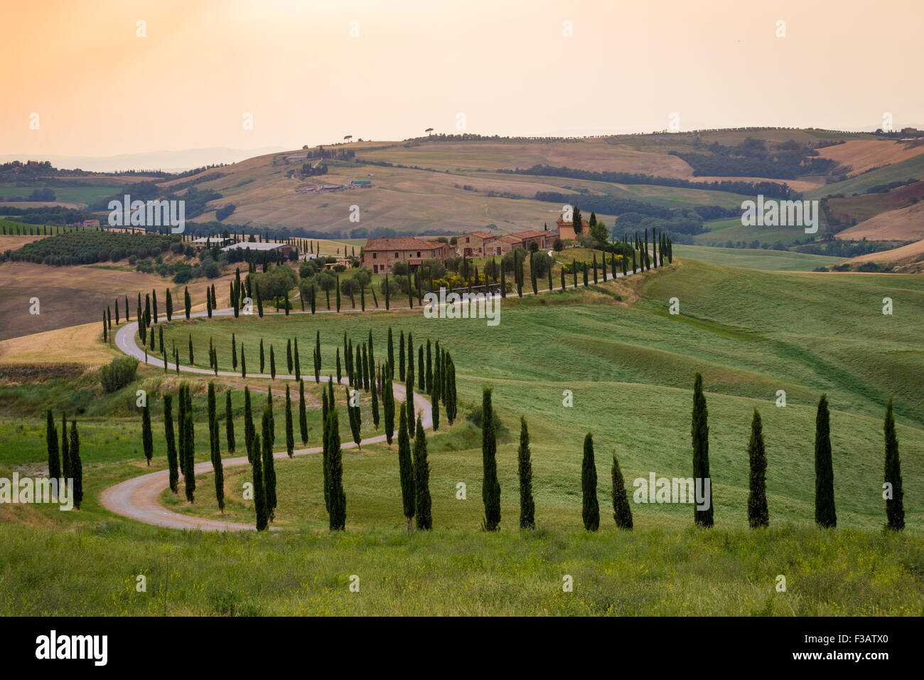 Toscane, Val d'Orcia, magnifique paysage de collines, de cyprès et d'oliviers, de l'Italie. Ferme isolée dans la campagne Banque D'Images