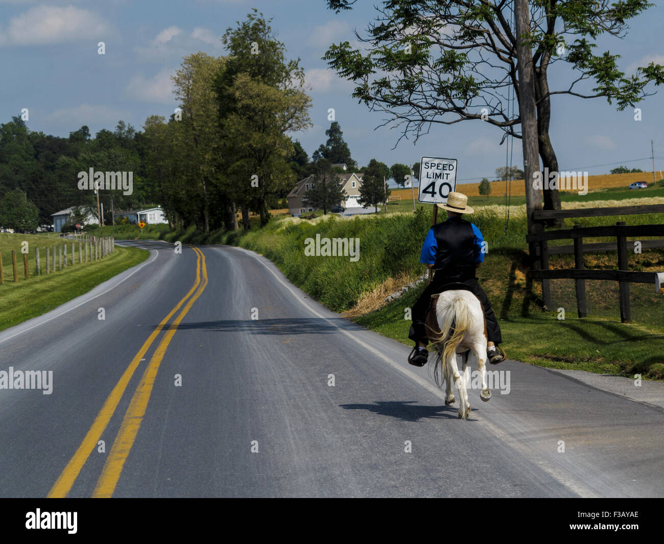 Amish homme monté sur un très petit poney le long de route de campagne déserte le comté de Lancaster en Pennsylvanie USA Banque D'Images