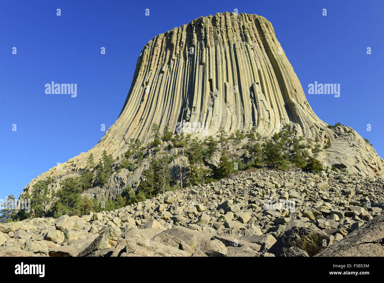 Devils Tower National Monument, Wyoming, USA Banque D'Images