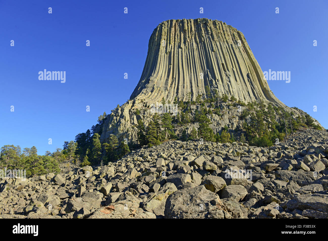 Devils Tower National Monument, Wyoming, USA Banque D'Images