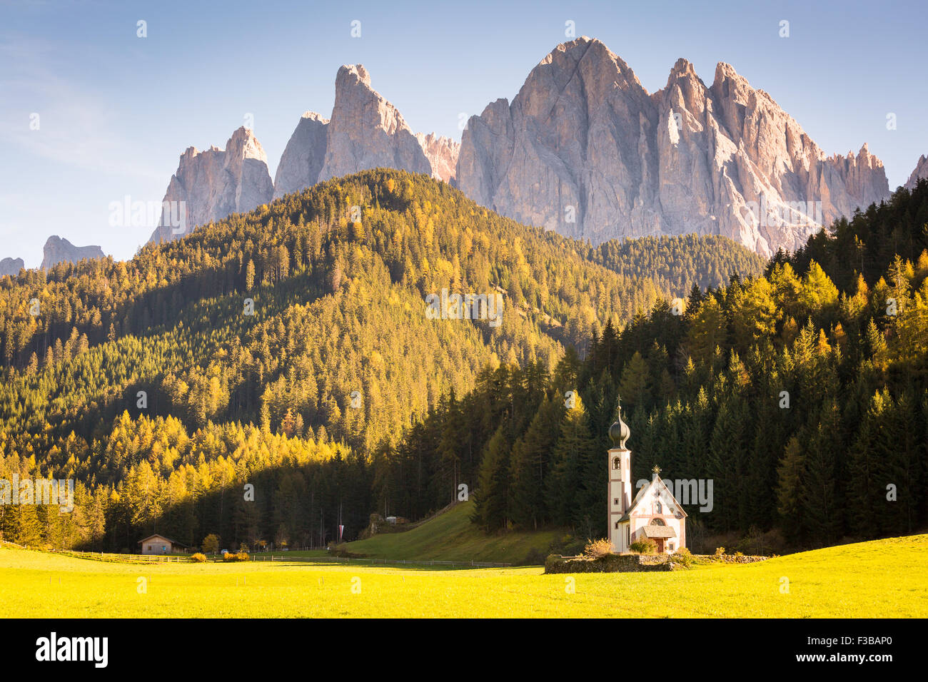 Alpes Dolomites, Italie, Odle. Val di Funes avec église Santa Maddalena, montagnes et forêt en automne. Banque D'Images