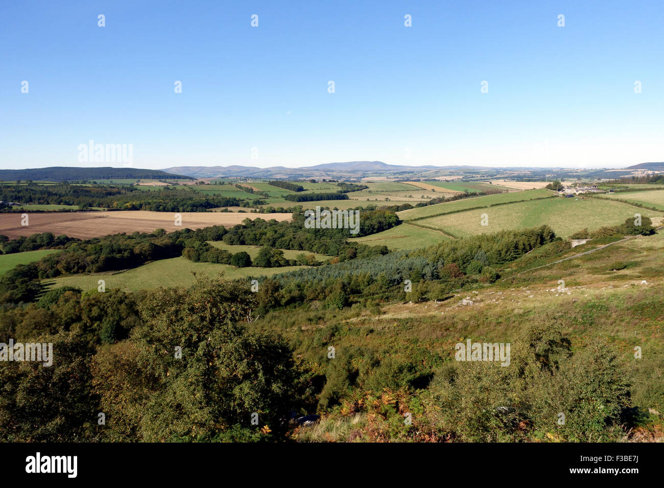 Paysages du nord du Northumberland, Angleterre, près de lieu de naissance de Capability Brown jardinier Banque D'Images