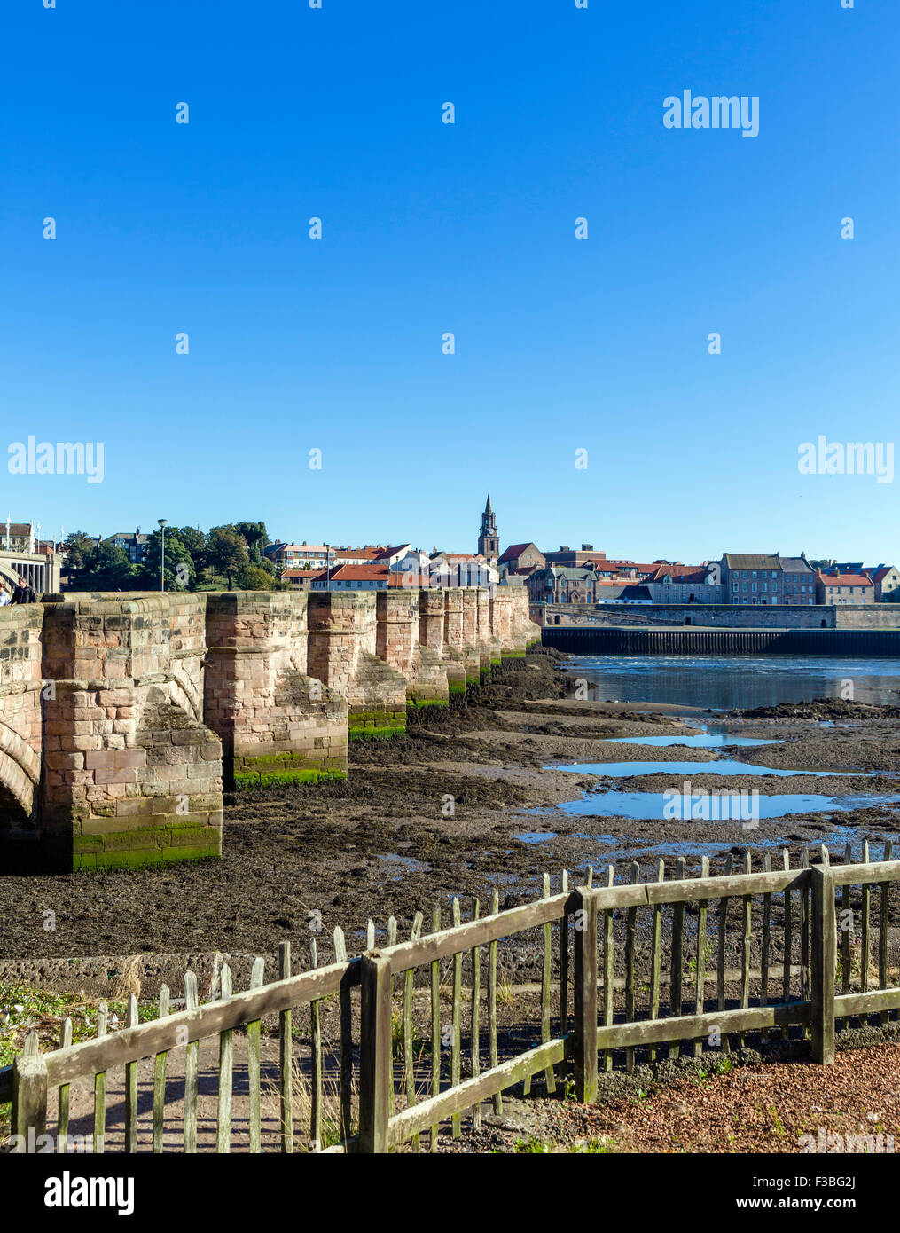 Le vieux pont à la direction du centre-ville, Berwick-upon-Tweed, Northumberland, England, UK Banque D'Images