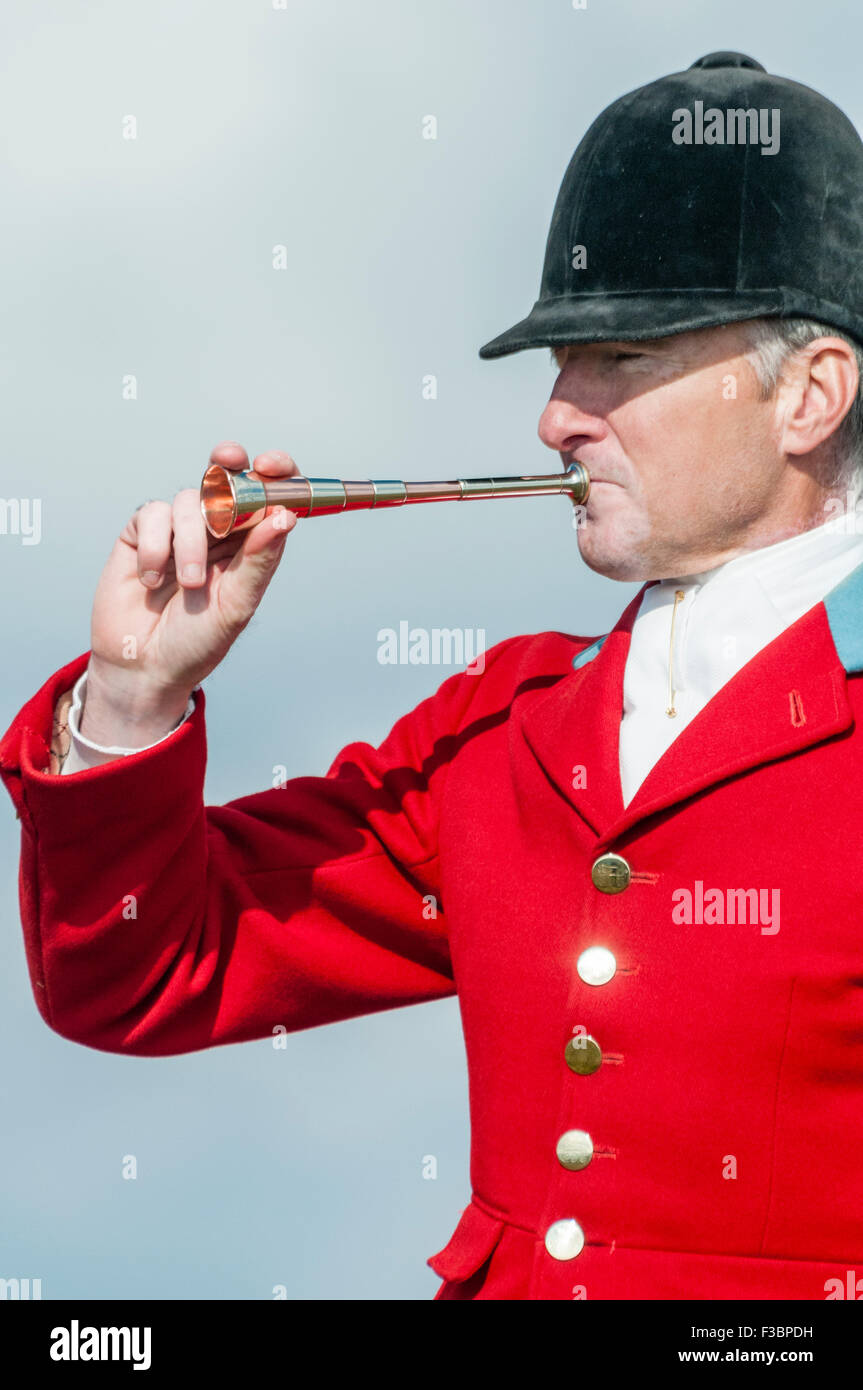 Rostrevor, Irlande du Nord. 04 Oct 2015 - Huntsman Declan Keenan ses coups de klaxon pour lancer une chasse au renard Crédit : Stephen Barnes/Alamy Live News Banque D'Images