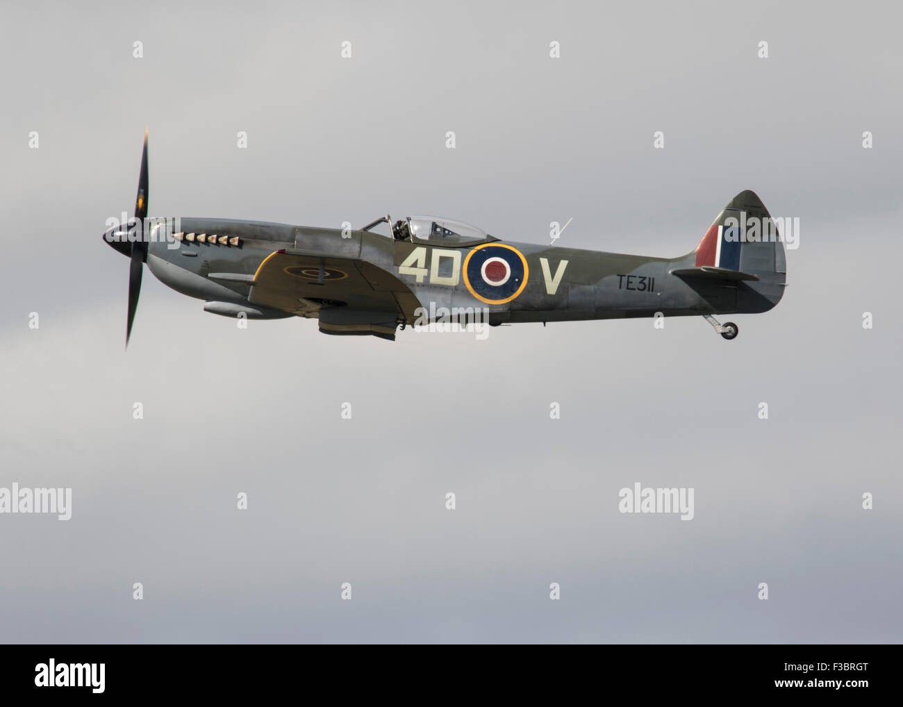 Supermarine Spitfire LF XVIe TE311 volant à la bataille d'Angleterre 75e anniversaire défilé à Goodwood en 2015 Banque D'Images