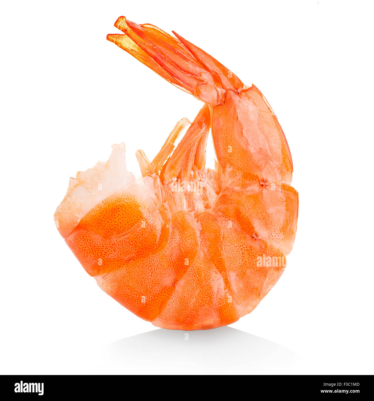 Crevettes tigrées. Prawn isolé sur un fond blanc. Fruits de mer Banque D'Images