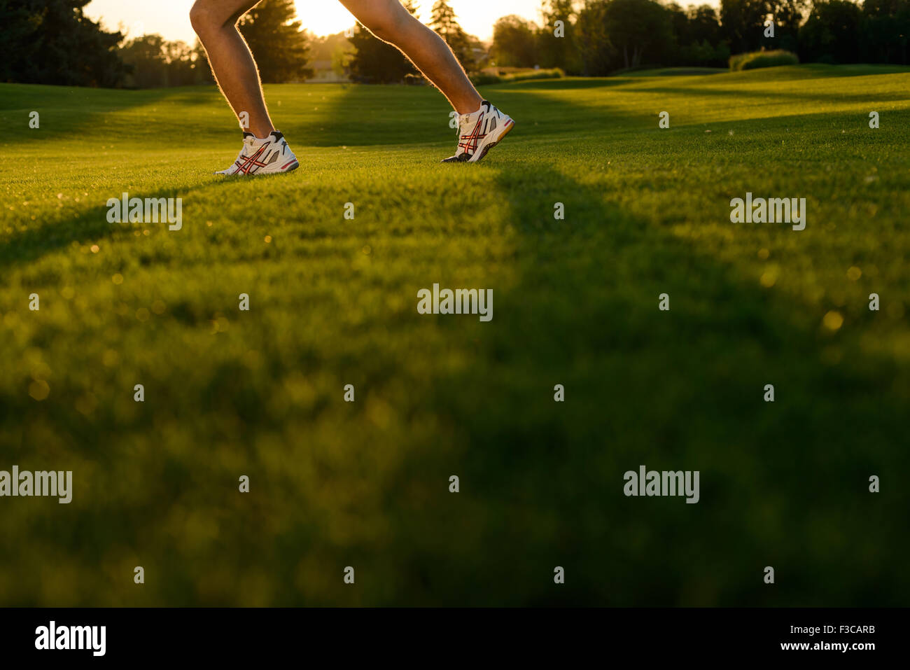 Les jambes de l'athlète. Banque D'Images