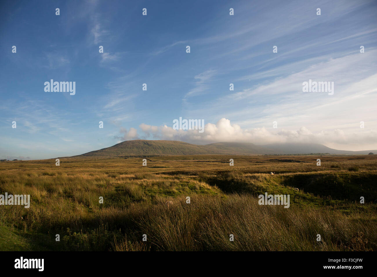 Ingleborough est la deuxième plus haute montagne dans le Yorkshire Dales, à 723 mètres. C'est l'un des trois sommets du Yorkshire. Banque D'Images