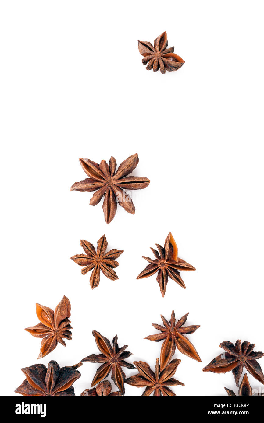 Les étoiles d'anis sur fond blanc Banque D'Images