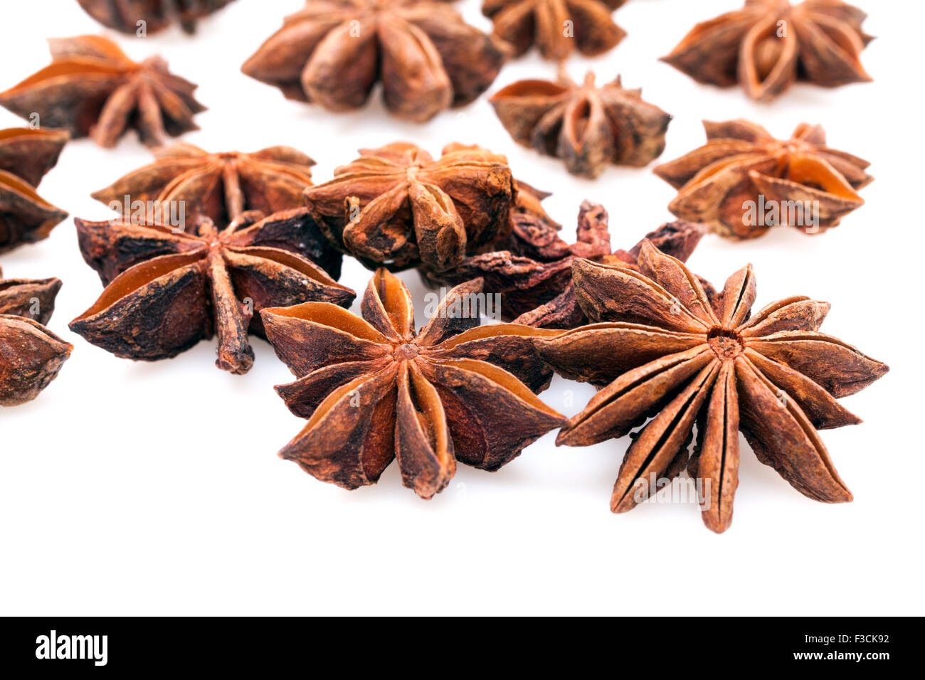 Les étoiles d'anis sur fond blanc Banque D'Images