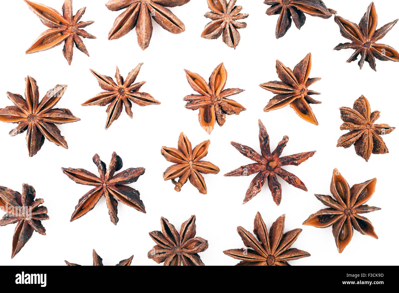 Les étoiles d'anis sur fond blanc Banque D'Images