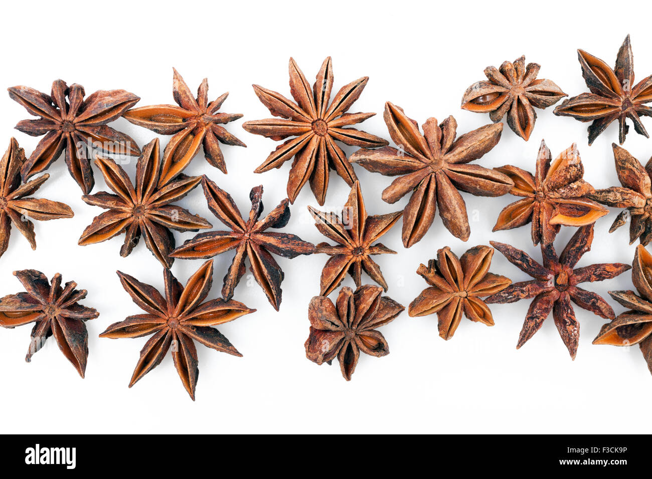 Les étoiles d'anis sur fond blanc Banque D'Images