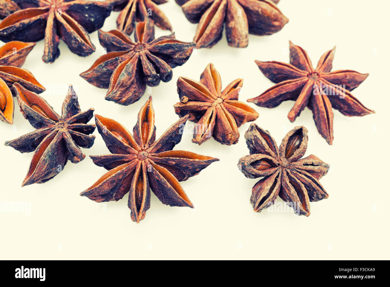 Les étoiles d'anis sur fond blanc Banque D'Images