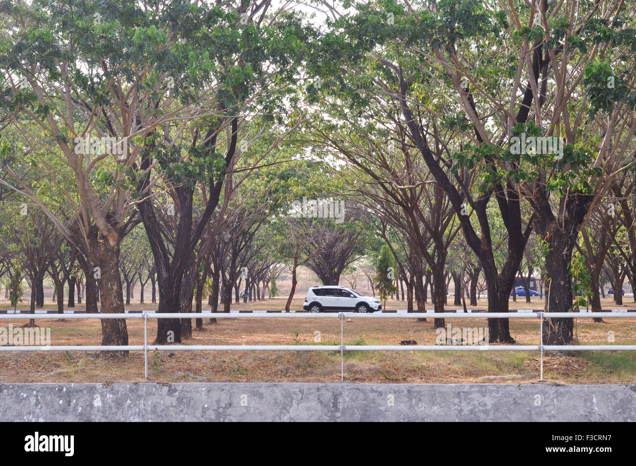 À Makassar, Indonésie. 05Th Oct, 2015. Entre l'Aéroport International de voiture Hasanuddin complexe à Makassar, Indonésie le 5 octobre, 2015. Aéroport Hasanuddin est l'un des plus grand aéroport en Indonésie et devenue la plaque tournante de l'Est de l'Indonésie. Santiago Riezky Crédit : Yermia/Alamy Live News Banque D'Images