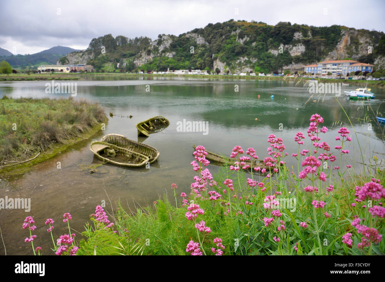 Vue panoramique sur l'estuaire de la Sella avec fleurs et bateaux abandonnés à Ribadesella (Principauté des Asturies, Espagne) Banque D'Images