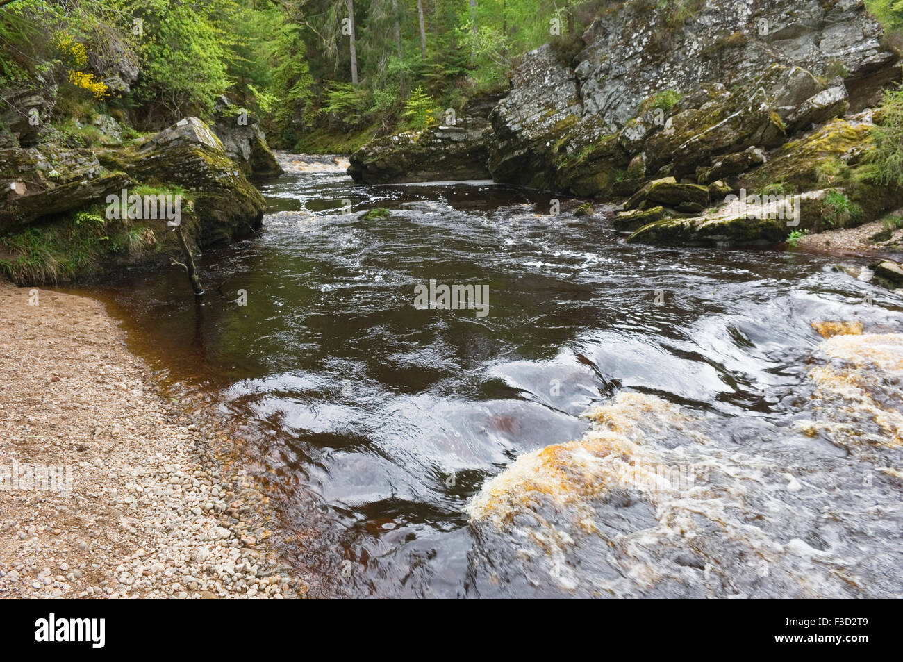 La rivière Findhorn au printemps près de Logie Steading, Moray, en Écosse. Banque D'Images