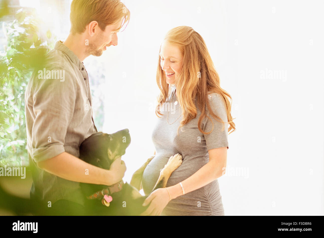 Mid-adult couple Playing with dog Banque D'Images