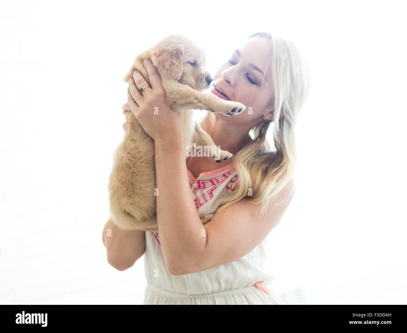Studio shot of chiot Golden Retriever avec propriétaire Banque D'Images
